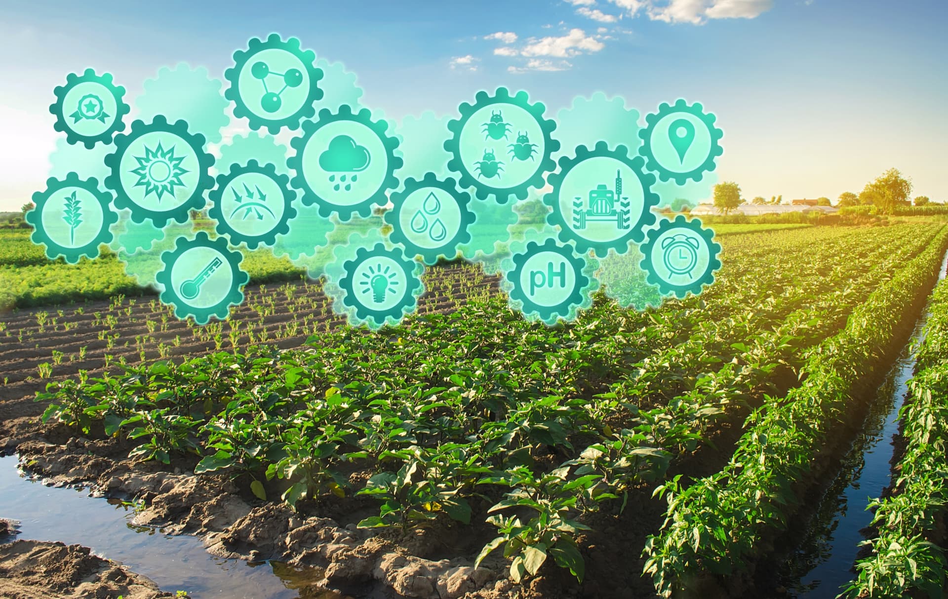 Agricultural technology